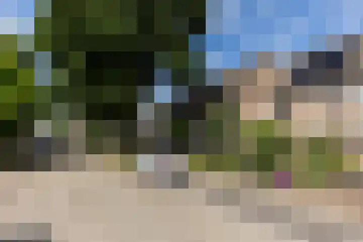 Sterappel 8 Uden thumbnail 4