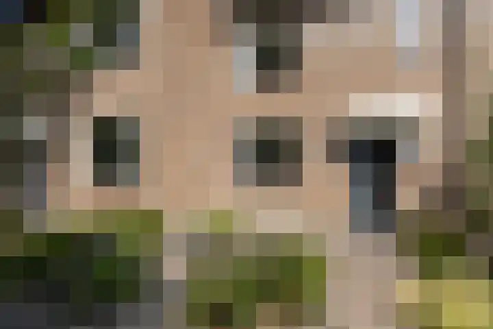 Sterappel 8 Uden thumbnail 5