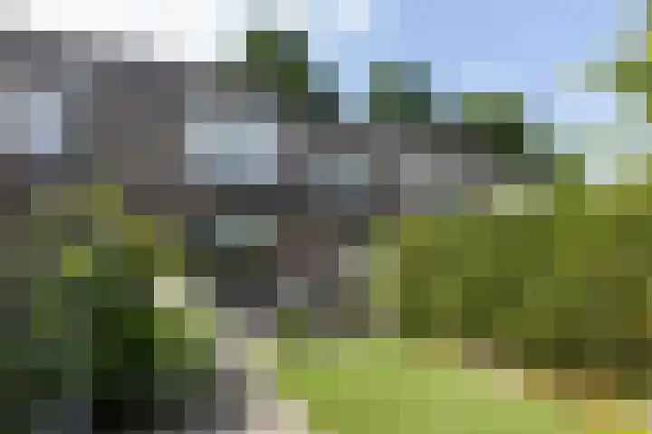 Sterappel 8 Uden thumbnail 6