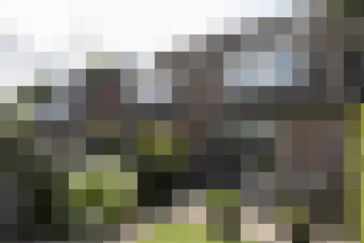 Sterappel 8 Uden thumbnail 7