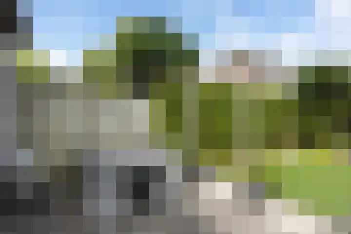 Sterappel 8 Uden thumbnail 8