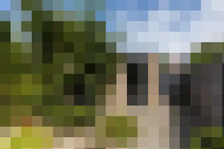 Sterappel 8 Uden thumbnail 9