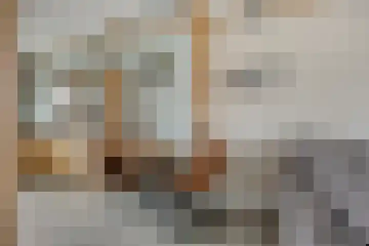 Sterappel 86 Barneveld thumbnail 10