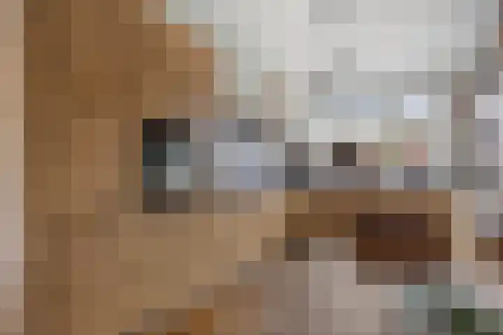 Sterappel 86 Barneveld thumbnail 12