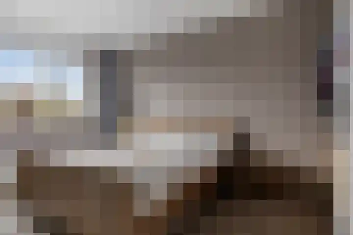 Sterappel 86 Barneveld thumbnail 15