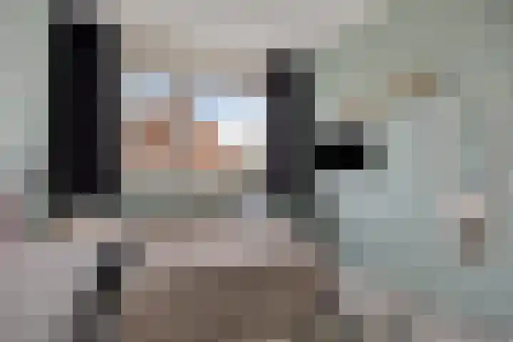 Sterappel 86 Barneveld thumbnail 18