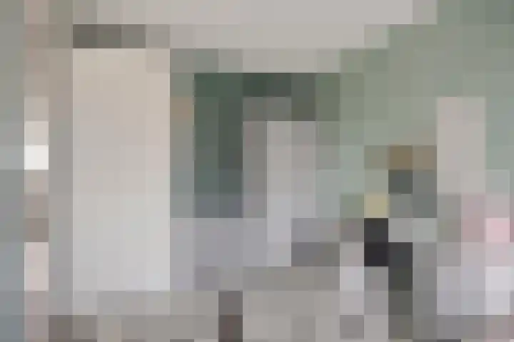 Sterappel 86 Barneveld thumbnail 19