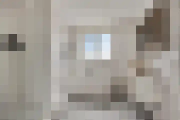 Sterappel 86 Barneveld thumbnail 21