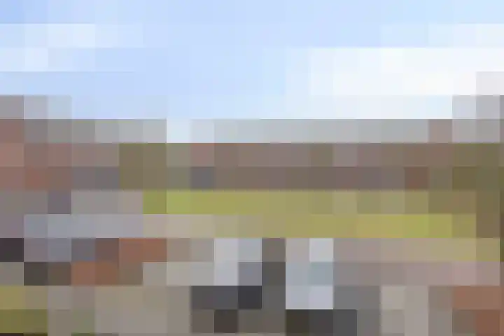 Sterappel 86 Barneveld thumbnail 23