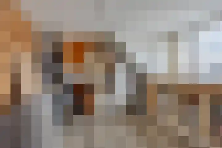 Sterappel 86 Barneveld thumbnail 25