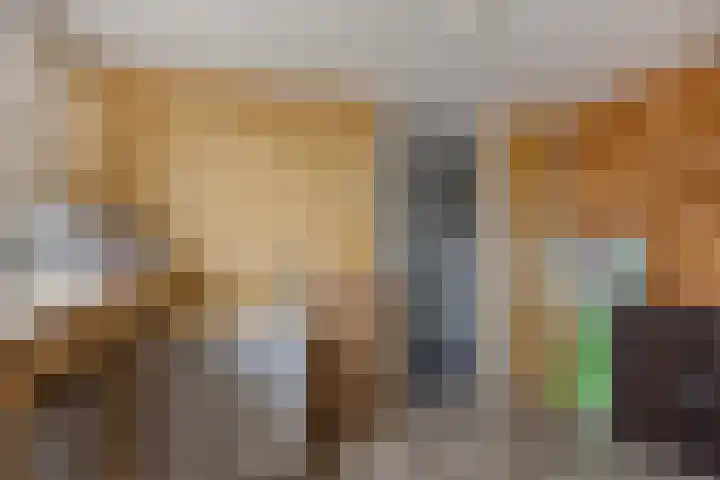 Sterappel 86 Barneveld thumbnail 26