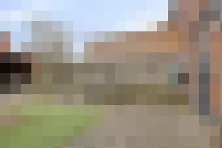 Sterappel 86 Barneveld thumbnail 30