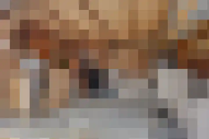 Sterappel 86 Barneveld thumbnail 31