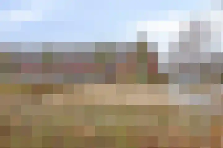 Sterappel 86 Barneveld thumbnail 33