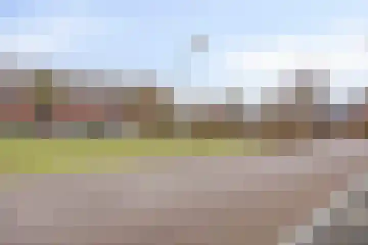 Sterappel 86 Barneveld thumbnail 34