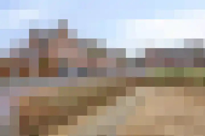 Sterappel 86 Barneveld thumbnail 35