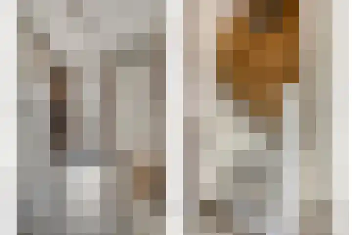 Sterappel 86 Barneveld thumbnail 4