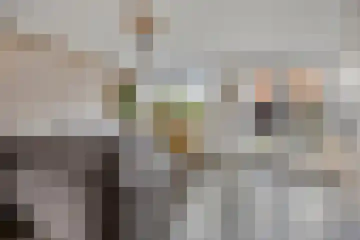 Sterappel 86 Barneveld thumbnail 6