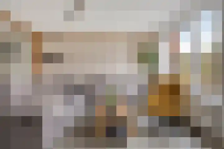 Sterappel 86 Barneveld thumbnail 7