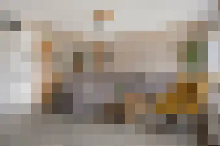 Sterappel 86 Barneveld thumbnail 9