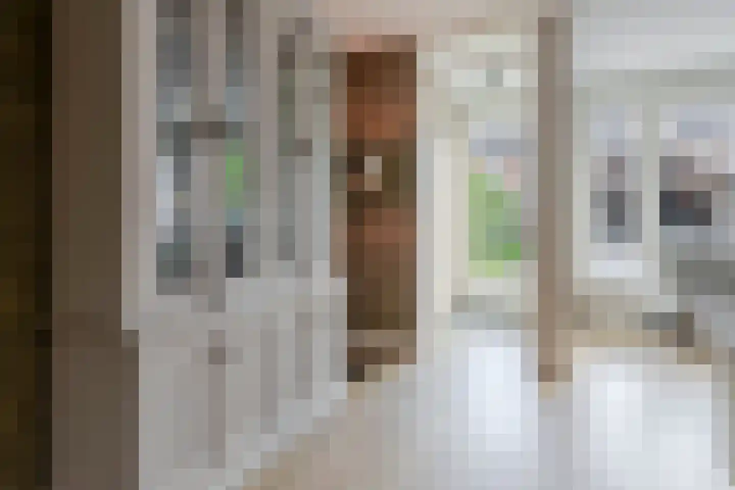 Sterappel 9 Barneveld thumbnail 10