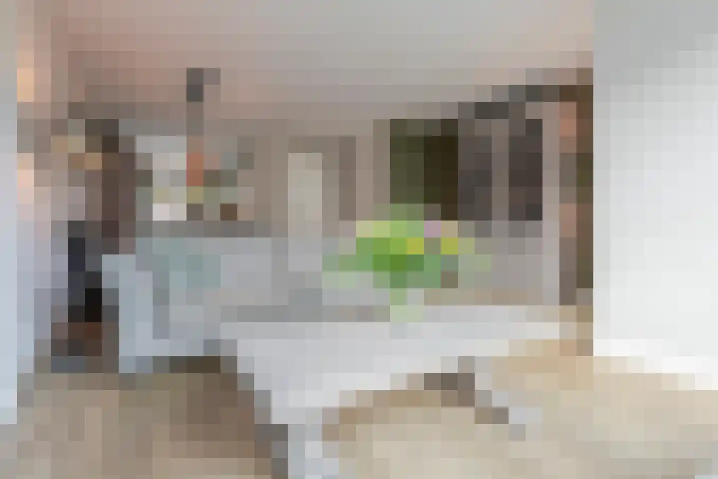 Sterappel 9 Barneveld thumbnail 11