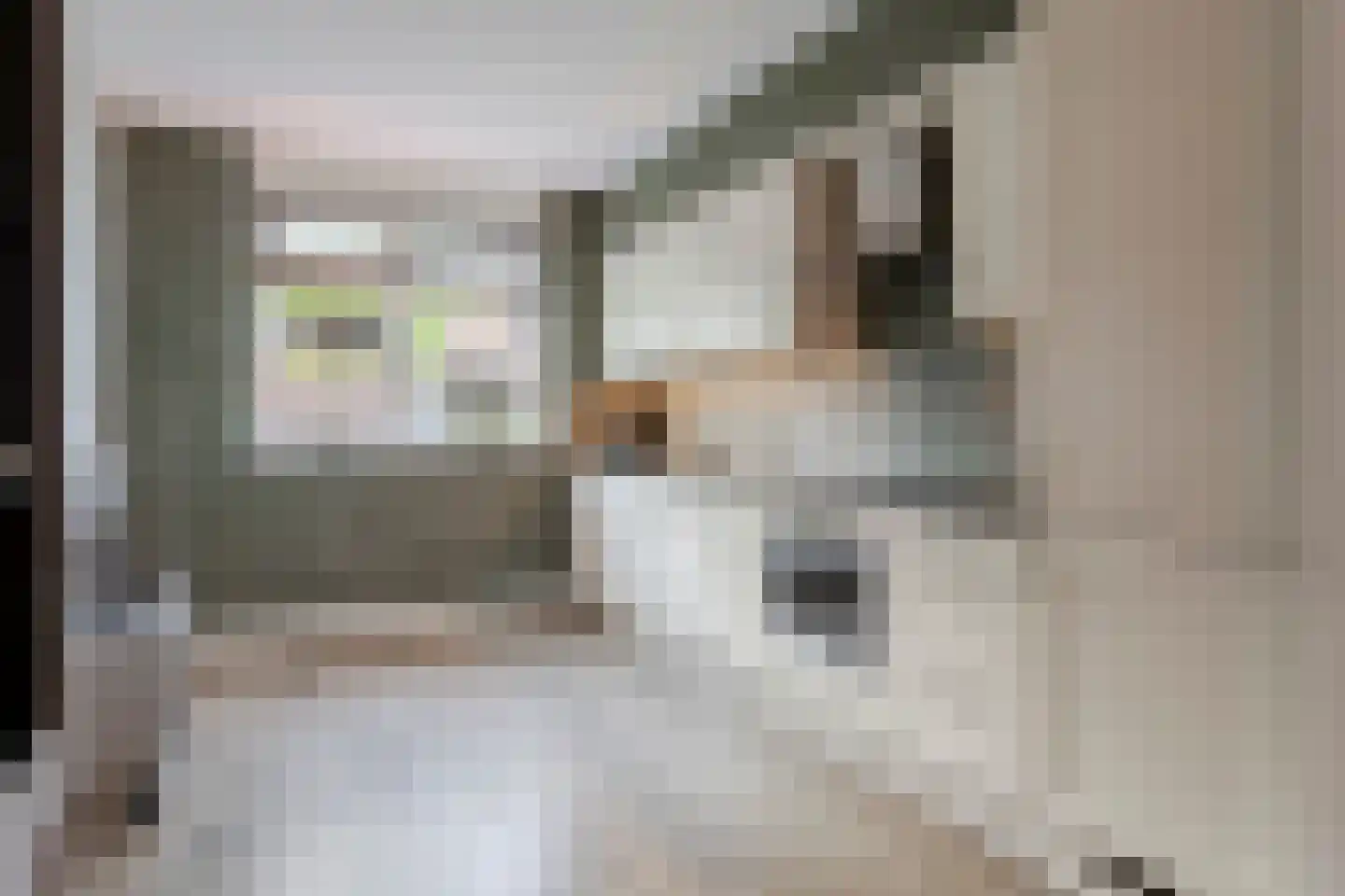 Sterappel 9 Barneveld thumbnail 16