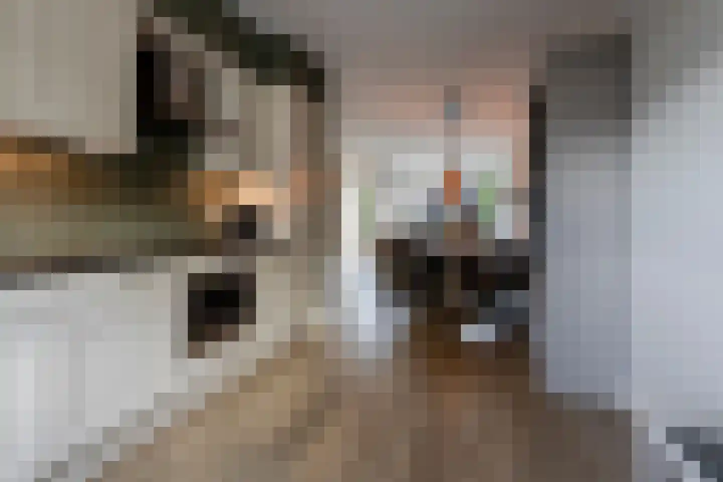 Sterappel 9 Barneveld thumbnail 19