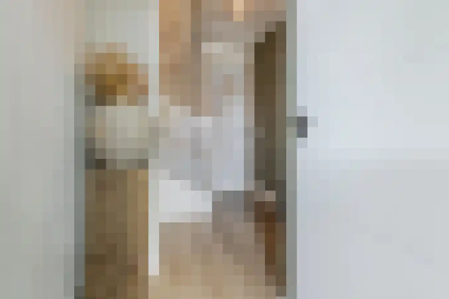 Sterappel 9 Barneveld thumbnail 22