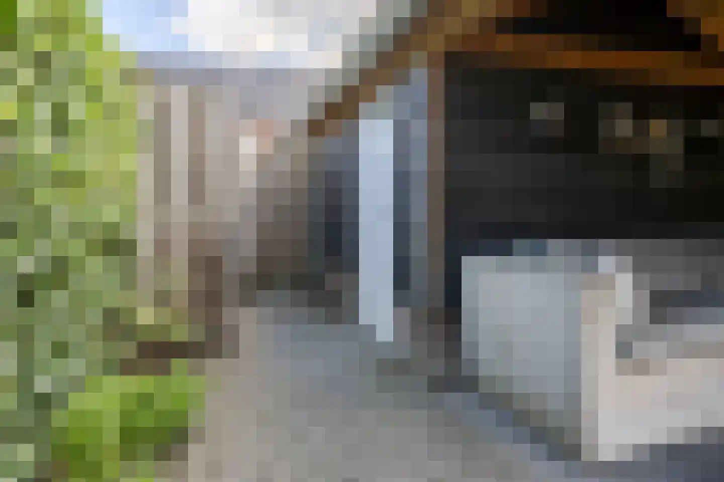 Sterappel 9 Barneveld thumbnail 44
