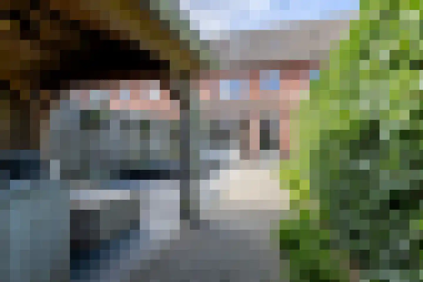 Sterappel 9 Barneveld thumbnail 45