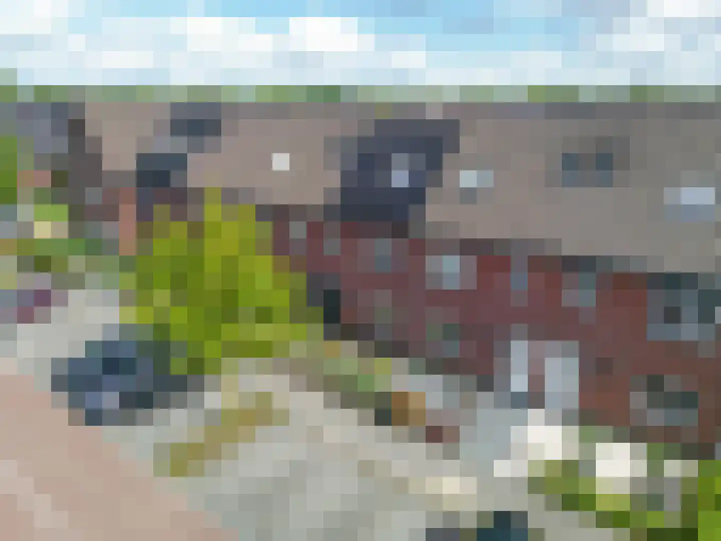 Sterappel 9 Barneveld thumbnail 51