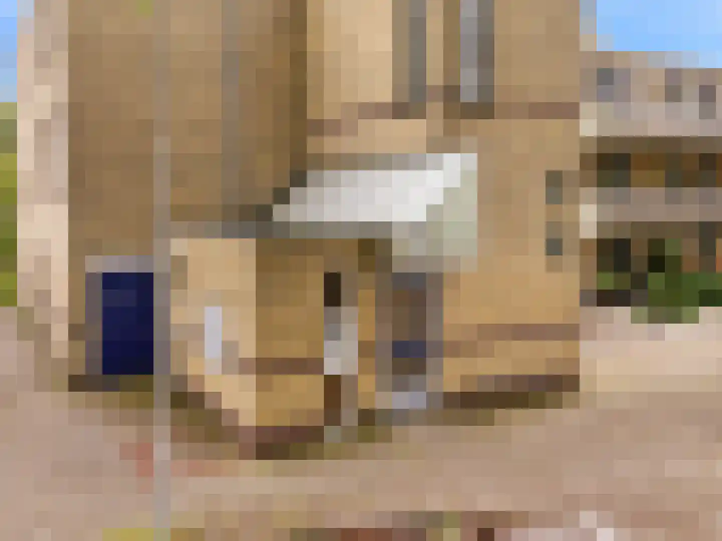 Sterappelgaard 110 Arnhem thumbnail 23