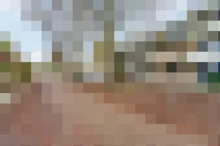 Sterappelgaard 124 Arnhem thumbnail 28