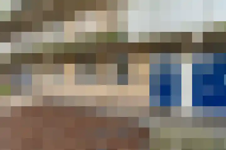 Sterappelgaard 124 Arnhem thumbnail 30
