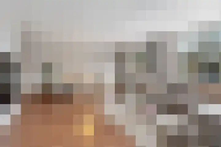 Sterappelgaard 124 Arnhem thumbnail 6