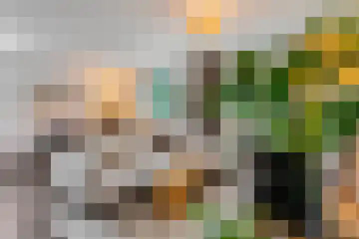 Sterappelgaard 144 Arnhem thumbnail 10