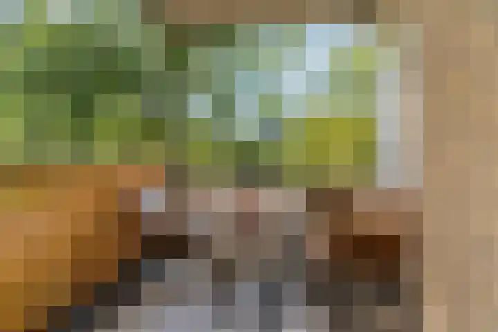 Sterappelgaard 144 Arnhem thumbnail 20
