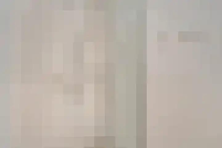 Sterappelgaard 144 Arnhem thumbnail 28