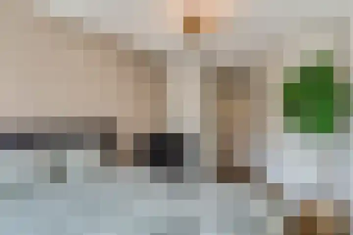 Sterappelgaard 144 Arnhem thumbnail 31