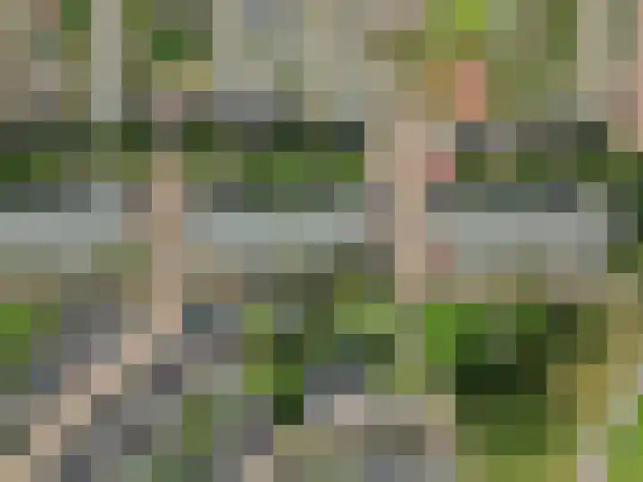 Sterappelgaard 144 Arnhem thumbnail 33