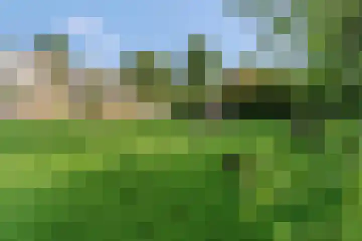Sterappelgaard 144 Arnhem thumbnail 34