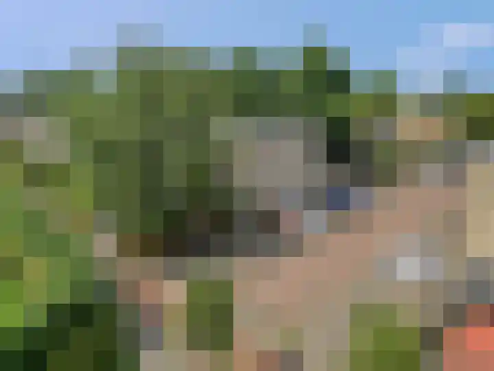 Sterappelgaard 144 Arnhem thumbnail 35