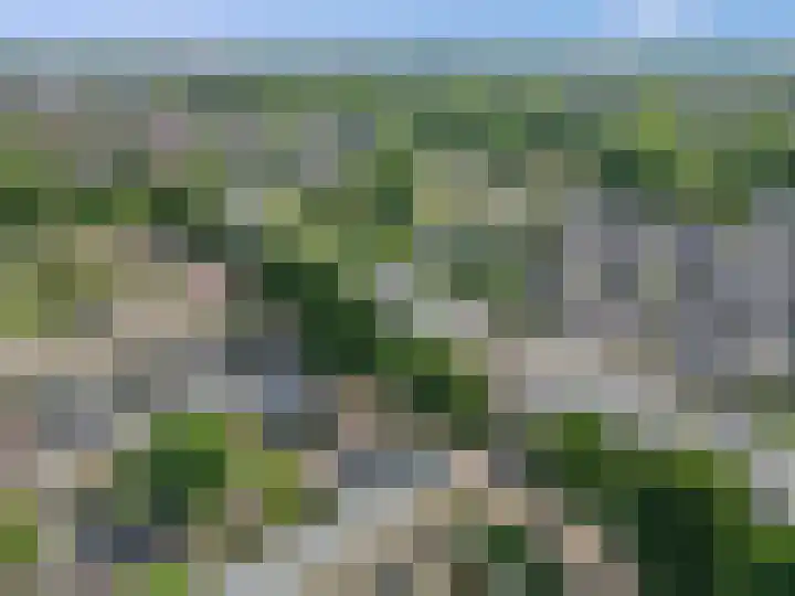 Sterappelgaard 144 Arnhem thumbnail 37