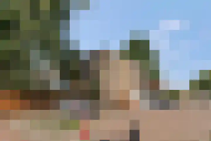 Sterappelgaard 144 Arnhem thumbnail 40