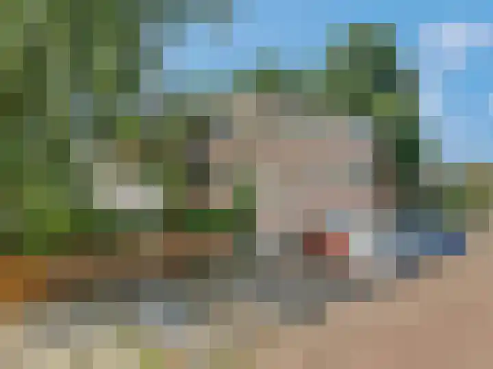 Sterappelgaard 144 Arnhem thumbnail 41