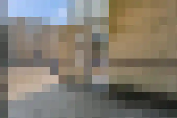 Sterappelgaard 144 Arnhem thumbnail 5