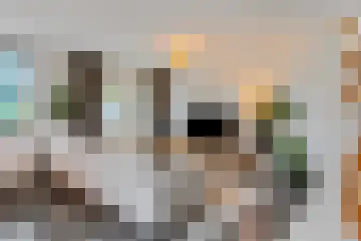 Sterappelgaard 144 Arnhem thumbnail 9