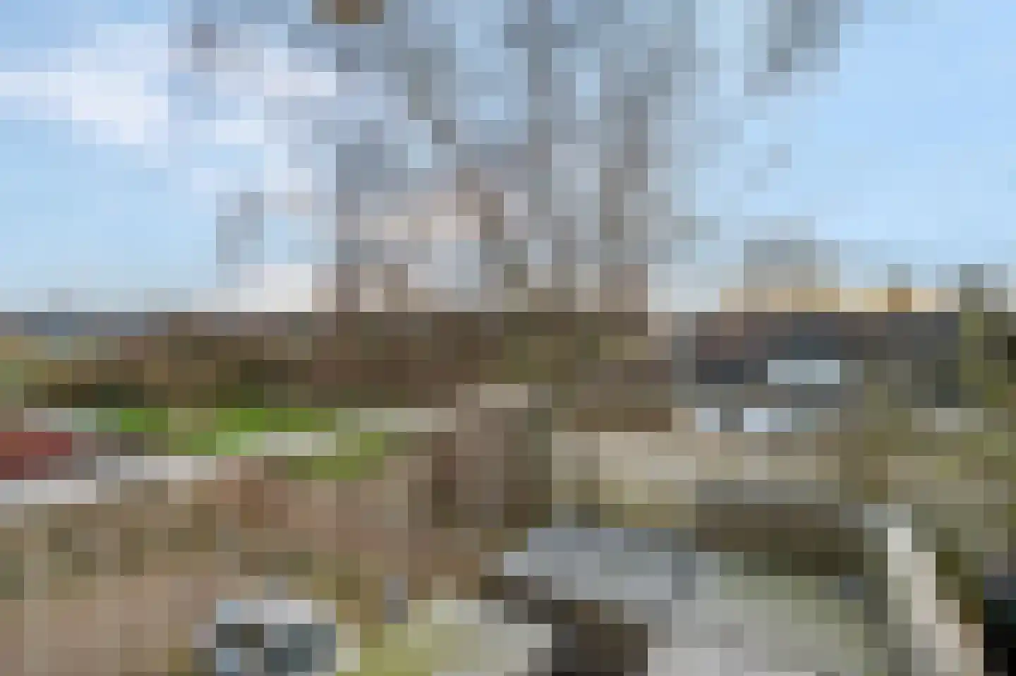 Sterappelgaard 160 Arnhem thumbnail 18