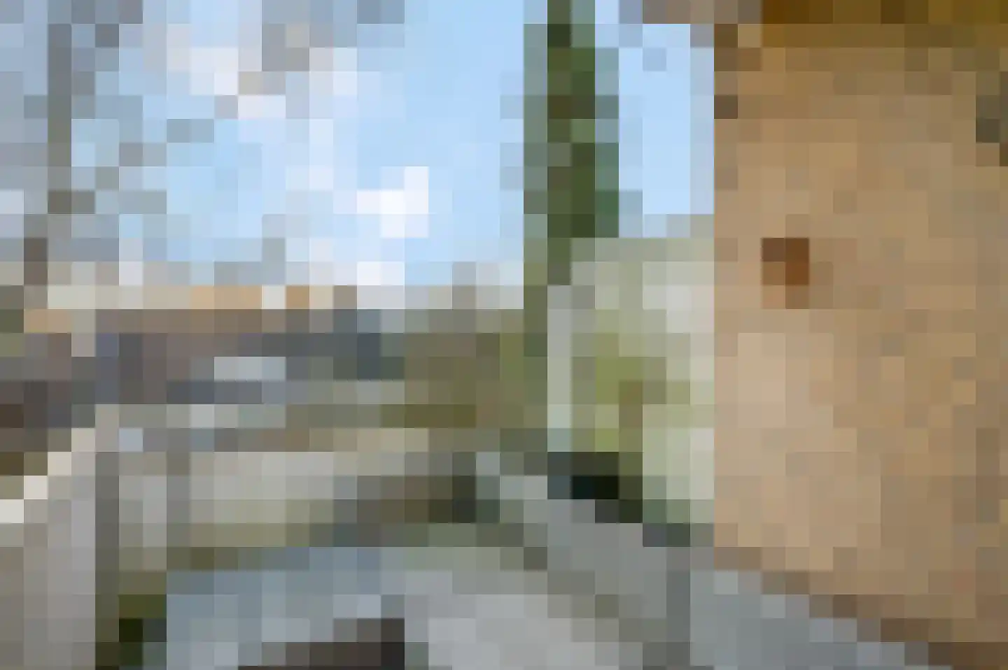Sterappelgaard 160 Arnhem thumbnail 19